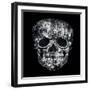 Gothic Image of a Human Skull in Black and White Isolated on Black Background-Valentina Photos-Framed Art Print