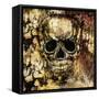 Gothic Image of a Human Skull-Valentina Photos-Framed Stretched Canvas