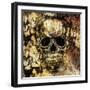 Gothic Image of a Human Skull-Valentina Photos-Framed Art Print