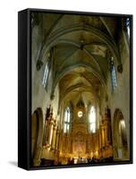 Gothic Interior of St. Pierre Church, Avignon, Provence, France-Lisa S. Engelbrecht-Framed Stretched Canvas