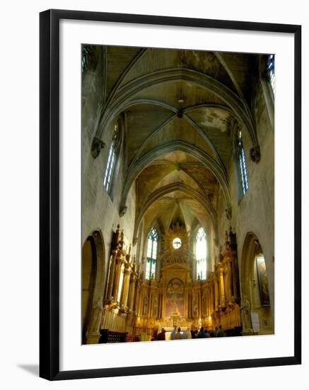 Gothic Interior of St. Pierre Church, Avignon, Provence, France-Lisa S. Engelbrecht-Framed Photographic Print