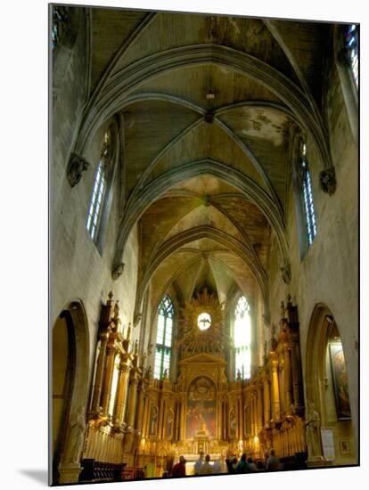 Gothic Interior of St. Pierre Church, Avignon, Provence, France-Lisa S. Engelbrecht-Mounted Photographic Print