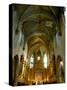 Gothic Interior of St. Pierre Church, Avignon, Provence, France-Lisa S. Engelbrecht-Stretched Canvas