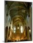 Gothic Interior of St. Pierre Church, Avignon, Provence, France-Lisa S. Engelbrecht-Mounted Photographic Print