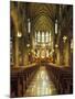Gothic Interior of the Cathedral Basilica of the Assumption, Covington, Kentucky, USA-Adam Jones-Mounted Photographic Print