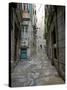 Gothic Quarter, Barcelona, Catalonia, Spain, Europe-Marco Cristofori-Stretched Canvas