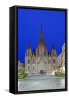 Gothic Quarter, Barcelona Cathedral, Barcelona, Spain-Rob Tilley-Framed Stretched Canvas