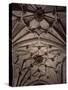 Gothic Vault of Royal Chapel Cathedral of Granada, Spain-null-Stretched Canvas