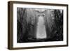 Gothic Window, Castle Bernard, County Cork, Ireland-Simon Marsden-Framed Giclee Print