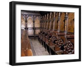 Gothic Wooden Choir, Cathedral of Assumption Blessed Virgin, Volterra, Tuscany, Detail, Italy-null-Framed Giclee Print