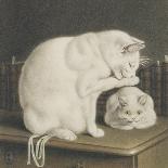 Two White Cats with Books on a Table-Gottfried Mind-Framed Giclee Print