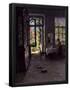 Essential Black