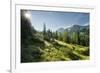 Gottschallalm, Radstadter Tauern, Salzburg, Austria-Rainer Mirau-Framed Photographic Print