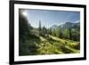 Gottschallalm, Radstadter Tauern, Salzburg, Austria-Rainer Mirau-Framed Photographic Print