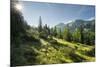 Gottschallalm, Radstadter Tauern, Salzburg, Austria-Rainer Mirau-Mounted Photographic Print