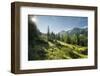 Gottschallalm, Radstadter Tauern, Salzburg, Austria-Rainer Mirau-Framed Photographic Print