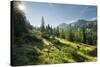 Gottschallalm, Radstadter Tauern, Salzburg, Austria-Rainer Mirau-Stretched Canvas