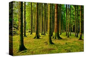 Gougane Barra Ireland I-Jan Michael Ringlever-Stretched Canvas