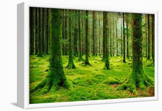 Gougane Barra Ireland II-Jan Michael Ringlever-Framed Art Print