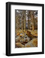 Gougane Barra Stream-Jan Michael Ringlever-Framed Art Print