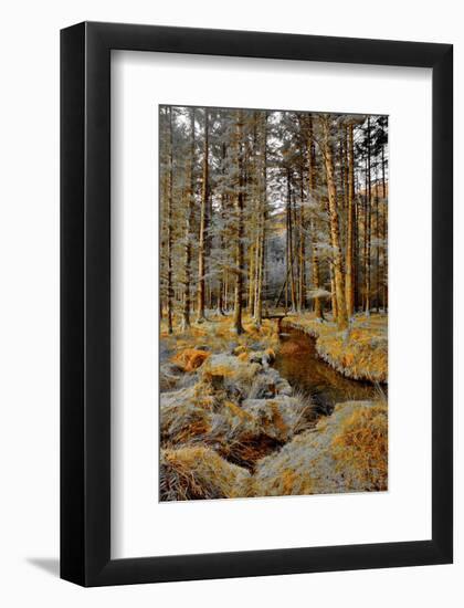 Gougane Barra Stream-Jan Michael Ringlever-Framed Art Print