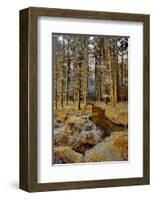 Gougane Barra Stream-Jan Michael Ringlever-Framed Art Print