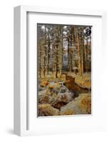 Gougane Barra Stream-Jan Michael Ringlever-Framed Art Print