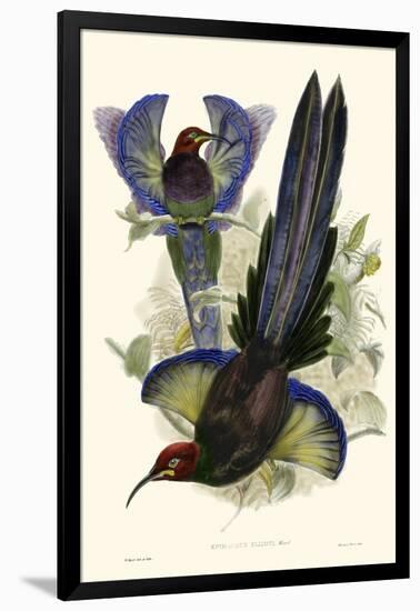 Gould Bird of Paradise III-John Gould-Framed Art Print