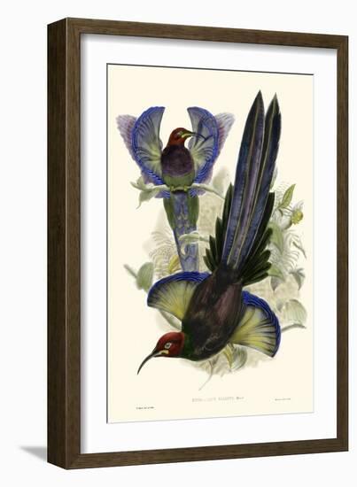 Gould Bird of Paradise III-John Gould-Framed Art Print