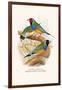 Gouldian Finch, Black Headed and Red Headed-F.w. Frohawk-Framed Art Print