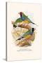 Gouldian Finch, Black Headed and Red Headed-F.w. Frohawk-Stretched Canvas