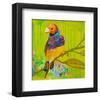 Gouldian Finch-null-Framed Art Print