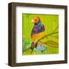 Gouldian Finch-null-Framed Art Print