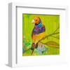 Gouldian Finch-null-Framed Art Print