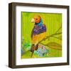 Gouldian Finch-null-Framed Art Print