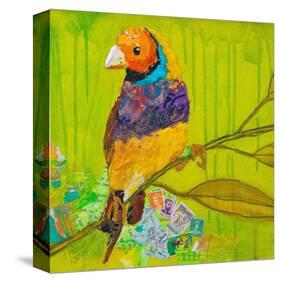 Gouldian Finch-null-Stretched Canvas