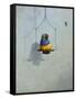 Gouldian Finch-Michael Jackson-Framed Stretched Canvas