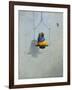 Gouldian Finch-Michael Jackson-Framed Giclee Print