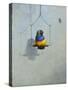 Gouldian Finch-Michael Jackson-Stretched Canvas