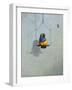 Gouldian Finch-Michael Jackson-Framed Giclee Print