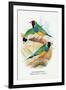 Gouldian Finch-Arthur G. Butler-Framed Art Print