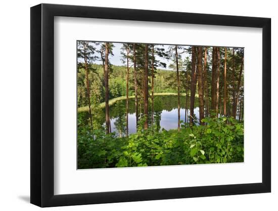 Photographic Print, , large