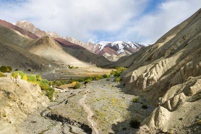 Rumbak valley, Hemis National Park, Ladakh region, state of Jammu and ...