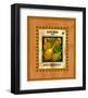 Gourd Seed Pack-null-Framed Giclee Print