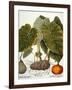 Gourd, Taro, & Pumpkin-null-Framed Giclee Print