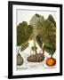 Gourd, Taro, & Pumpkin-null-Framed Giclee Print