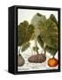 Gourd, Taro, & Pumpkin-null-Framed Stretched Canvas