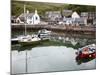 Gourdon Harbour Near Inverbervie, Aberdeenshire, Scotland, United Kingdom, Europe-Mark Sunderland-Mounted Photographic Print