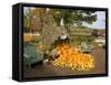 Gourds at the Moulton Farm farmstand in Meredith, New Hampshire, USA-Jerry & Marcy Monkman-Framed Stretched Canvas