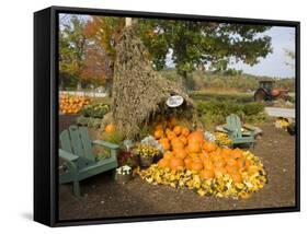 Gourds at the Moulton Farm farmstand in Meredith, New Hampshire, USA-Jerry & Marcy Monkman-Framed Stretched Canvas